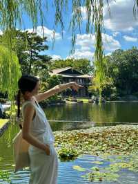 離開名古屋前，我在這個園林待了一個下午……