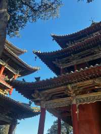 西安周邊運城鹽湖區一日遊，快來打卡呀