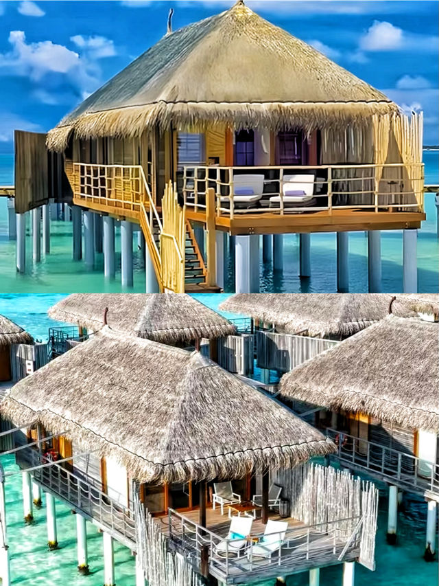 馬爾代夫魔富士浮潛和景觀都超棒的度假勝地