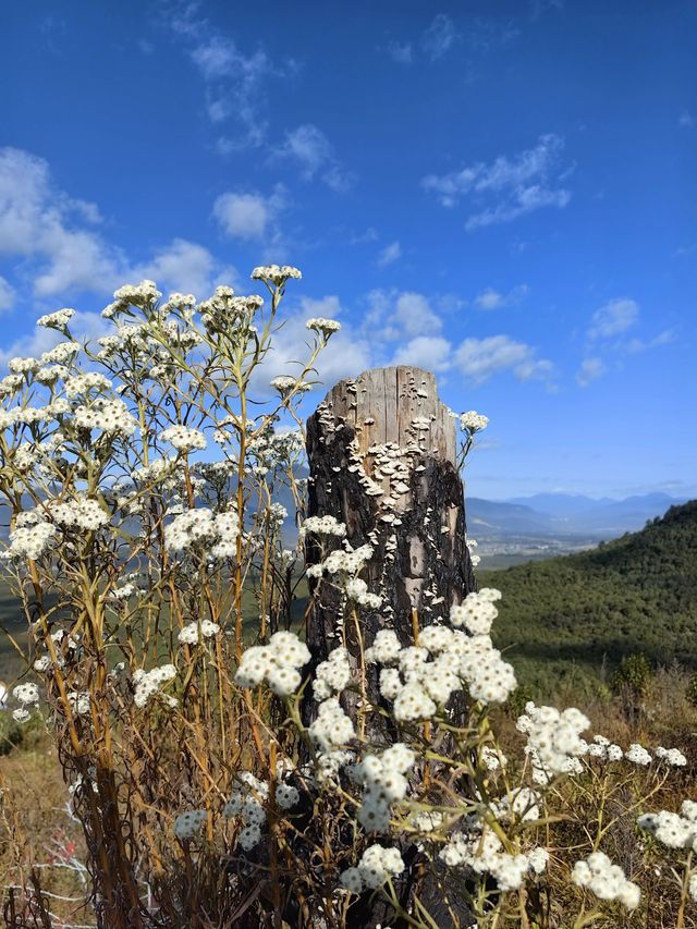 清明小假期 騰衝-瑞麗-和順古鎮遊玩全攻略
