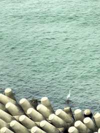 廣州-珠海-深圳3日遊 玩轉三地不踩雷超爽攻略