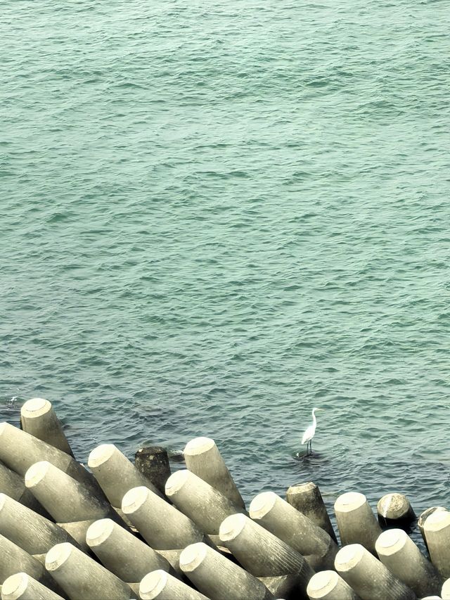 廣州-珠海-深圳3日遊 玩轉三地不踩雷超爽攻略