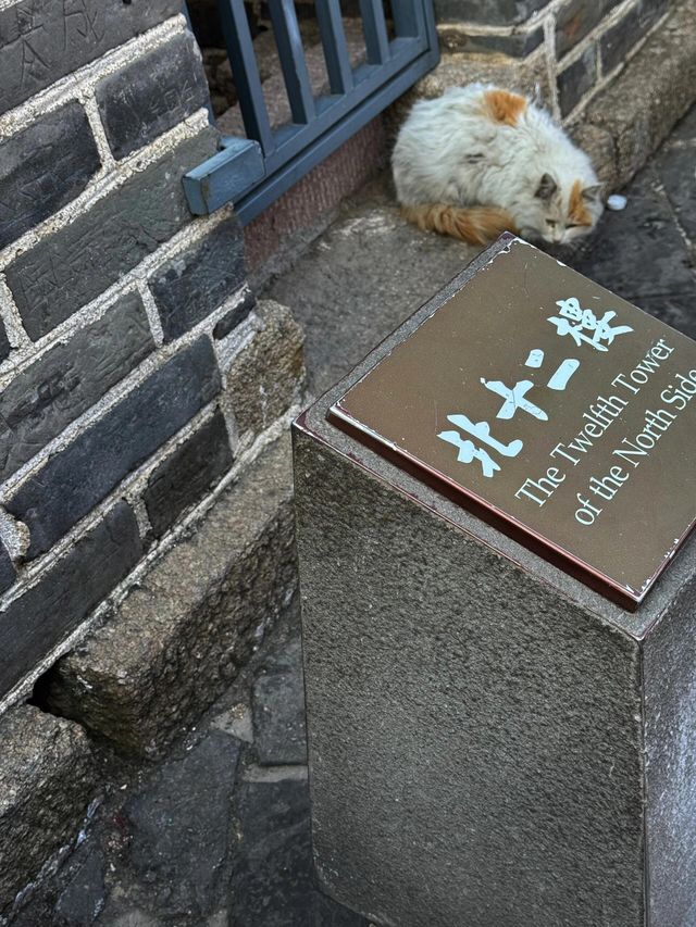 看一下中國的大好河山 長城