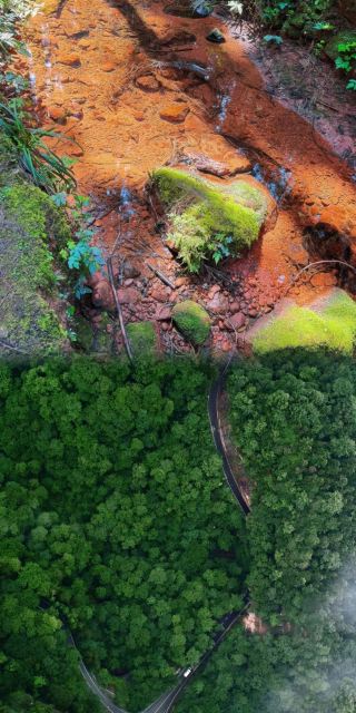 Exploring Dayuandong National Forest Park in Jiangjin, Chongqing