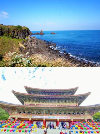 The Ultimate Guide to Wando County, South Korea! Must-read!