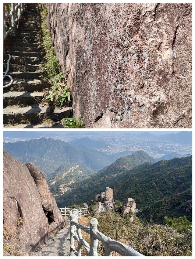 金堡山茶園爬山欣賞自然景觀別有一番情趣