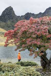 5月徒步路線推薦 哈巴黑海湖