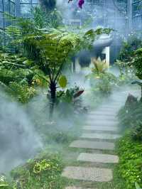 東莞植物園 帶你認識從未見過的各種各樣植物新生命