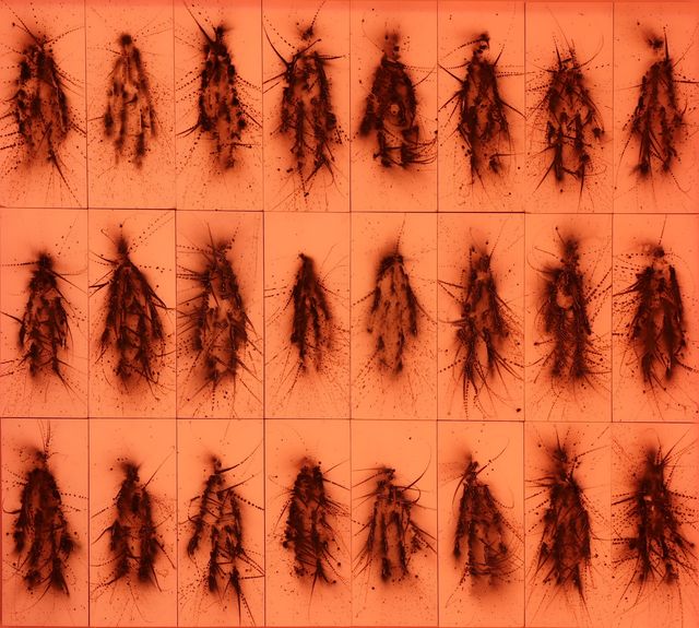 馬浩然個展 第二階段「你是誰是我」