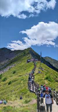 太白山國家森林公園詳細旅遊攻略來啦！