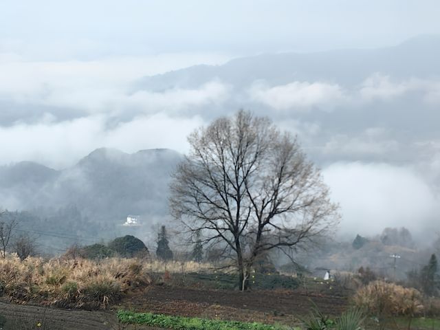 尋找徽州下一個旅行目的地，休寧金龍山