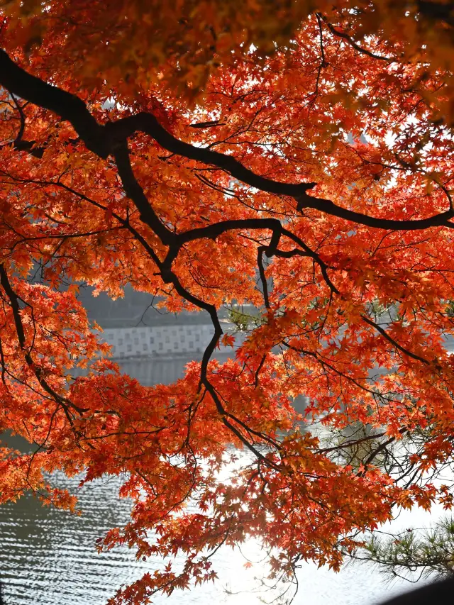 3-Day Getaway to Jiujiang: A Stunning Experience