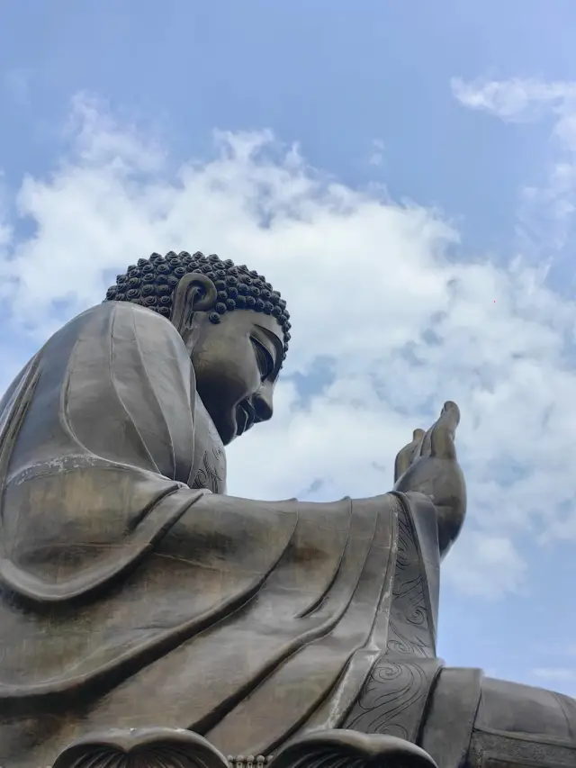 홍콩|란타우섬 빅 부다, 타이오 어촌 마을 1일 투어 가이드