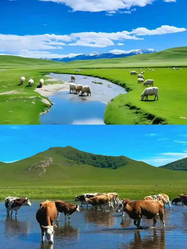 Saihanba Grassland offers better value than Inner Mongolia.