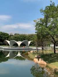 🌳深圳新安公園：鬧市中的靜謐綠洲