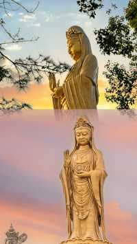 舟山普陀山