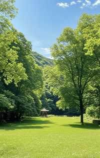 天津薊州篇——夏日出逃之梨木台