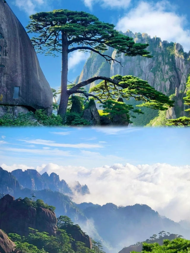 【黃山遊玩】一定要注意的攻略! 【黃山遊玩】一定要注意的攻略!