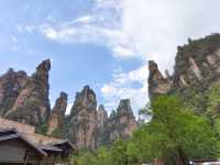 奇峰入畫‧雲海滌心：張家界國家森林公園的仙俠秘境之旅