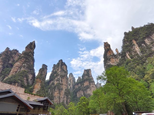 奇峰入畫‧雲海滌心：張家界國家森林公園的仙俠秘境之旅