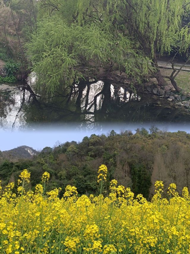 在貴陽，不可錯過的花溪公園，欣賞超讚花海