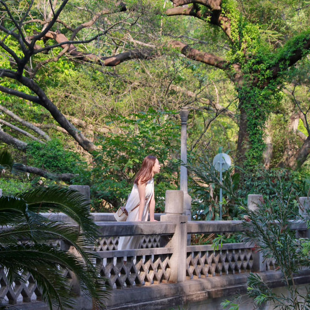 🌳廣州華南植物園｜闖入現實版綠野仙蹤！拍照遛娃全攻略