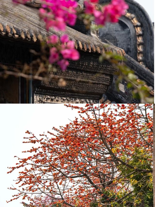 去沙灣古鎮，嚟一張同春天嘅合照啦！沙灣古鎮