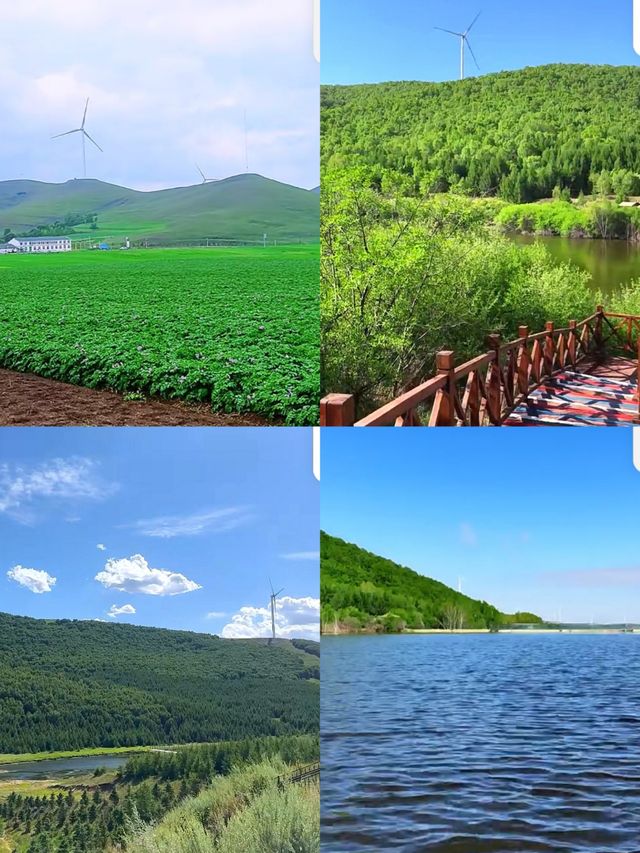 一處宛如童話世界的地方——神仙谷七彩森林