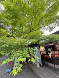 【京都 · 三千院｜歲月靜好】