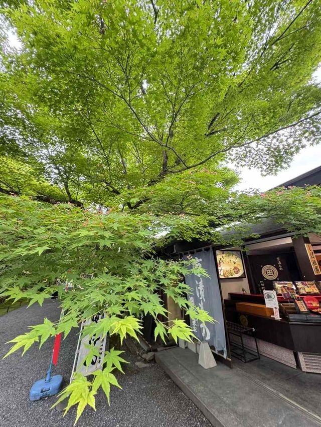 【京都 · 三千院｜歲月靜好】