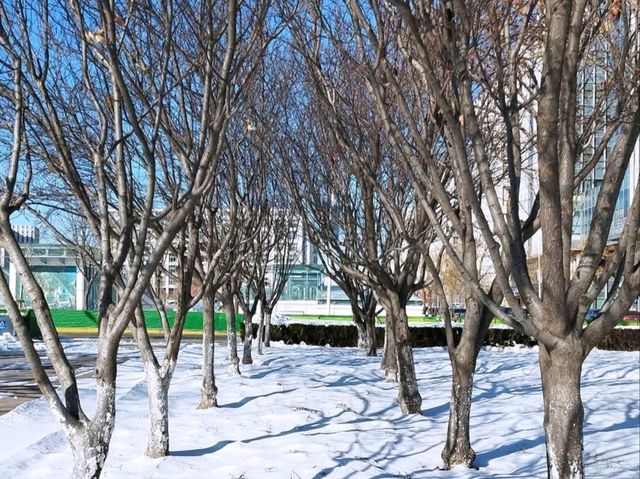 East Lake (东湖) / Dongli Lake Area