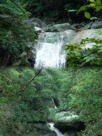 徒步臥龍山「龍脊線」