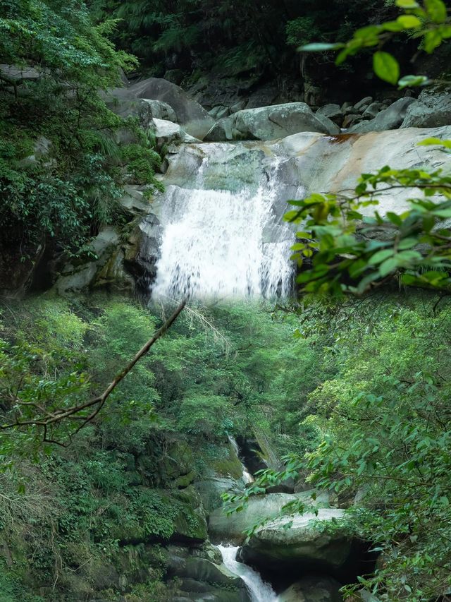 徒步臥龍山「龍脊線」