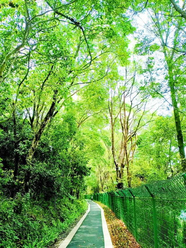 甘坑古鎮 | 隱藏喺深圳鬧市中嘅「雲南版小麗江」