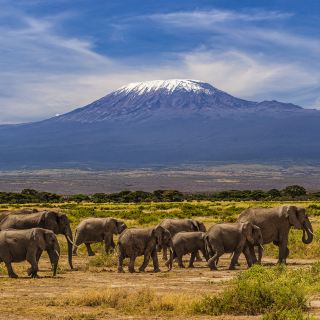 11-Day Tanzania Adventure: Discover the Wild Beauty of Africa