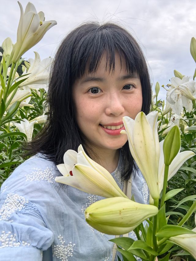福州百合花田百花盛放中
