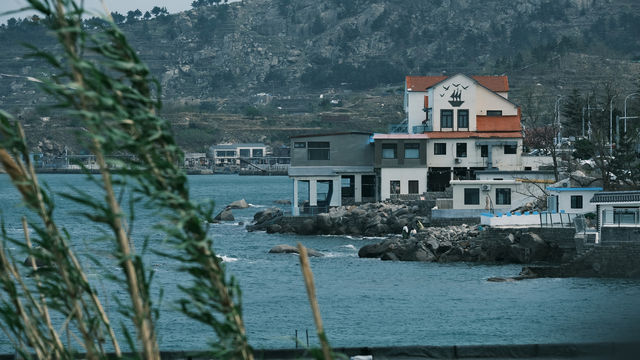 關於春天 | 青島春日漫遊指南