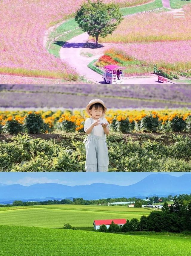 日本全景漫遊攻略｜7大地區×自然/文化/海濱/都市