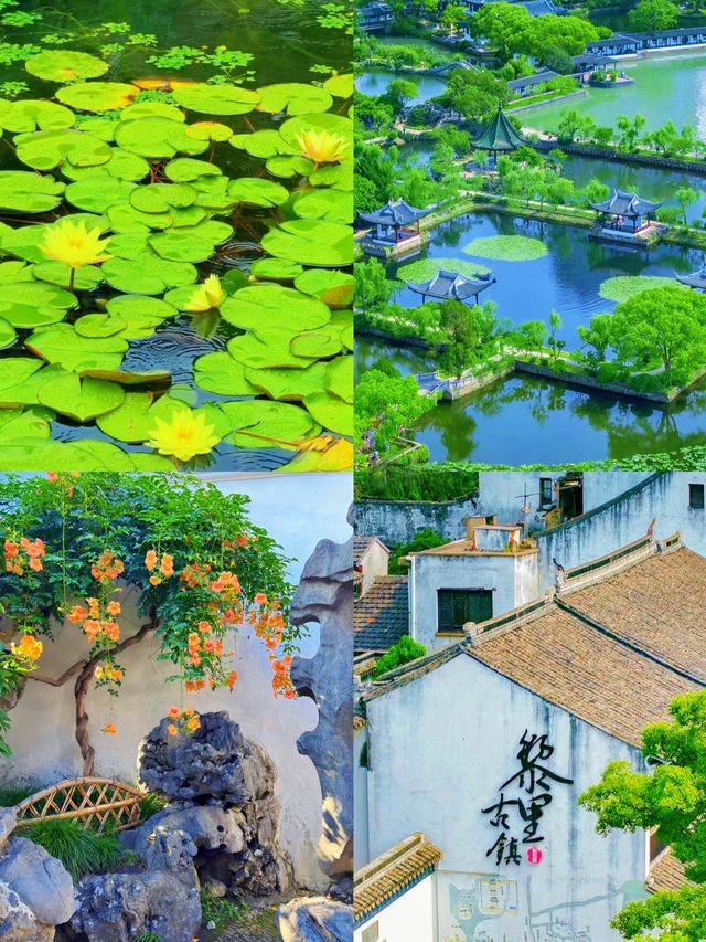 你點解成日一個人？因為我嘅孤獨好貴