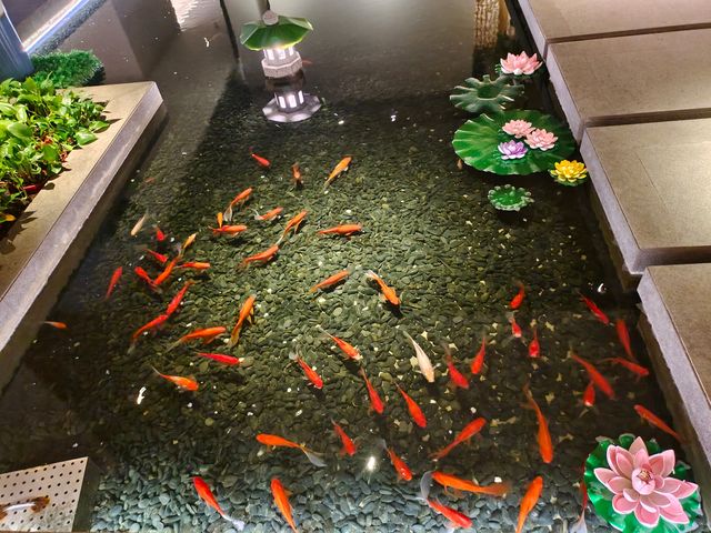 岳陽旅遊