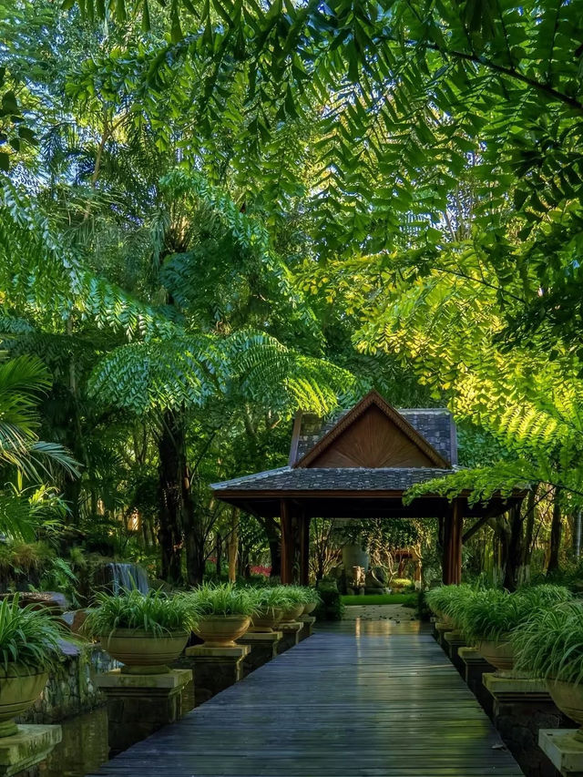 #西雙版納之旅  西雙版納是中國雲南省最熱門嘅旅遊目的地之一，以其熱帶雨林、傣族文化、豐富嘅動植物資