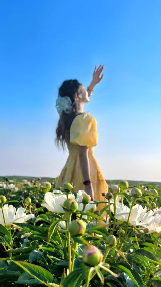 훌룬베이어 보물 같은 여행법: 모란 꽃밭을 보셨나요?