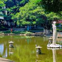 蓮花公園荷花季，在小區樓下就能賞荷