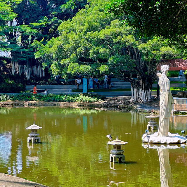 蓮花公園荷花季，在小區樓下就能賞荷