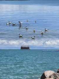 青海3天旅遊已返嚟，真係唔建議7-9月去，因為……
