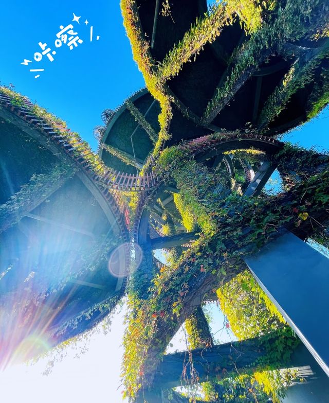 打卡橫琴，不能錯過的n個景點
