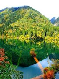 黃龍風景區旅遊攻略