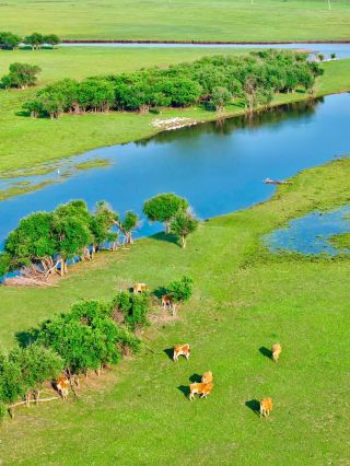 Visit Hulunbuir from June to August! This itinerary lets you ditch the rushed travel style