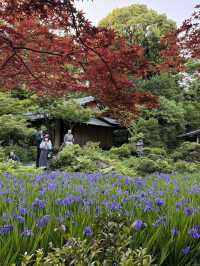 東京必去！藏在美術館後花園的絕美咖啡館✨