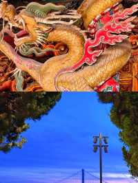遼寧已回，講啲難聽嘅大實話